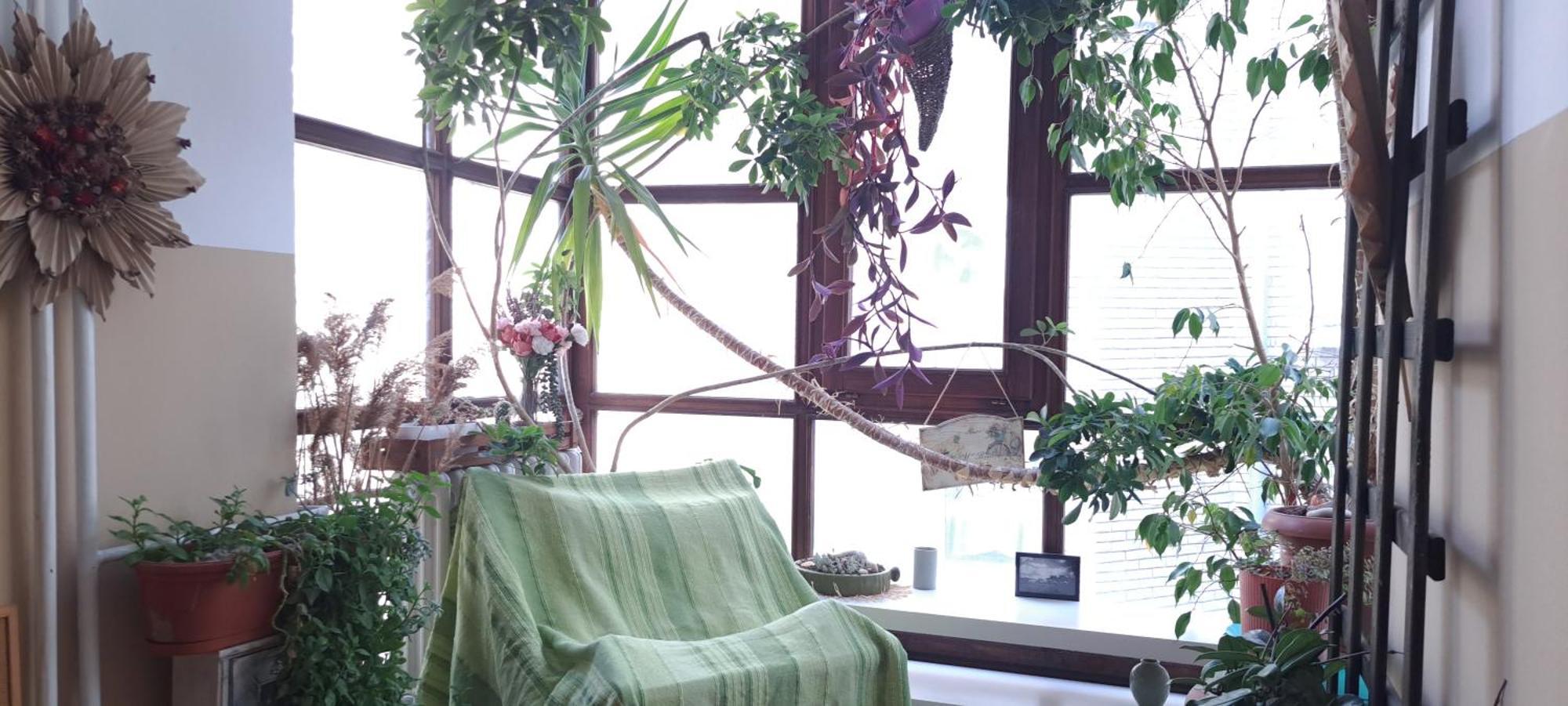 Green Land House Beograd Ngoại thất bức ảnh